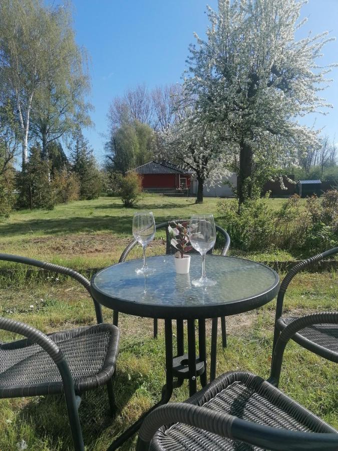 Ferienwohnung IV Sarrebriese Wanzleben-Borde Экстерьер фото