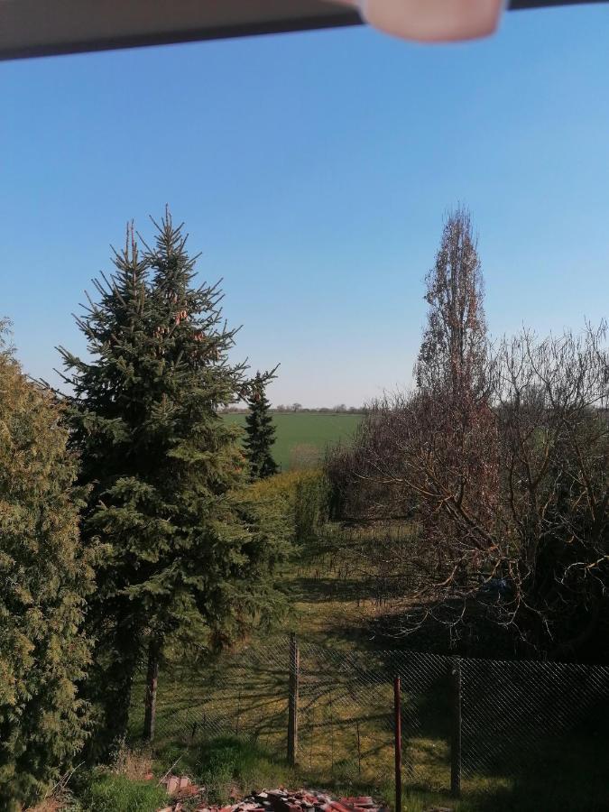 Ferienwohnung IV Sarrebriese Wanzleben-Borde Экстерьер фото